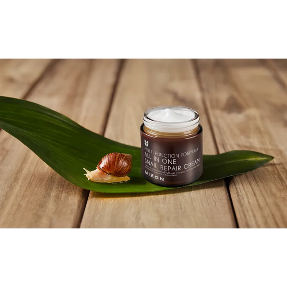 Mizon All In One Snail Repair Cream 75ml (Skin Regeneration, Anti-Wrinkle, Elastic) 3