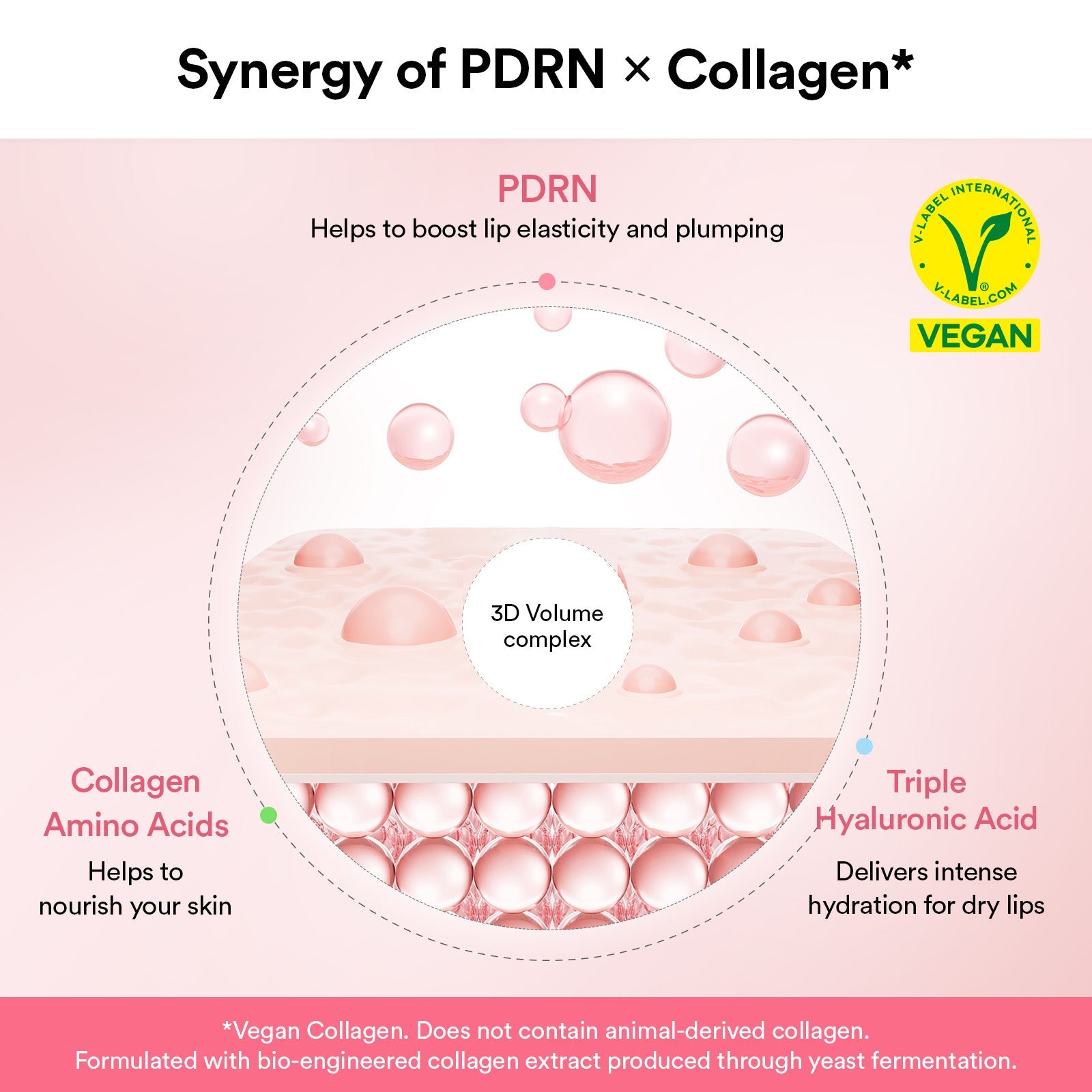 Abib PDRN Collagen Lip Mask Glazed Jelly 11g 4