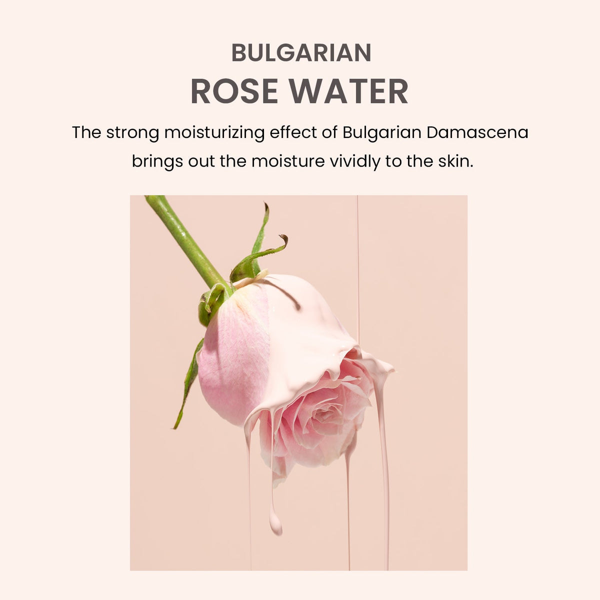 Heimish Bulgarian Rose Water Hydrogel Eye Patch ingredient card showing a Bulgarian damask rose