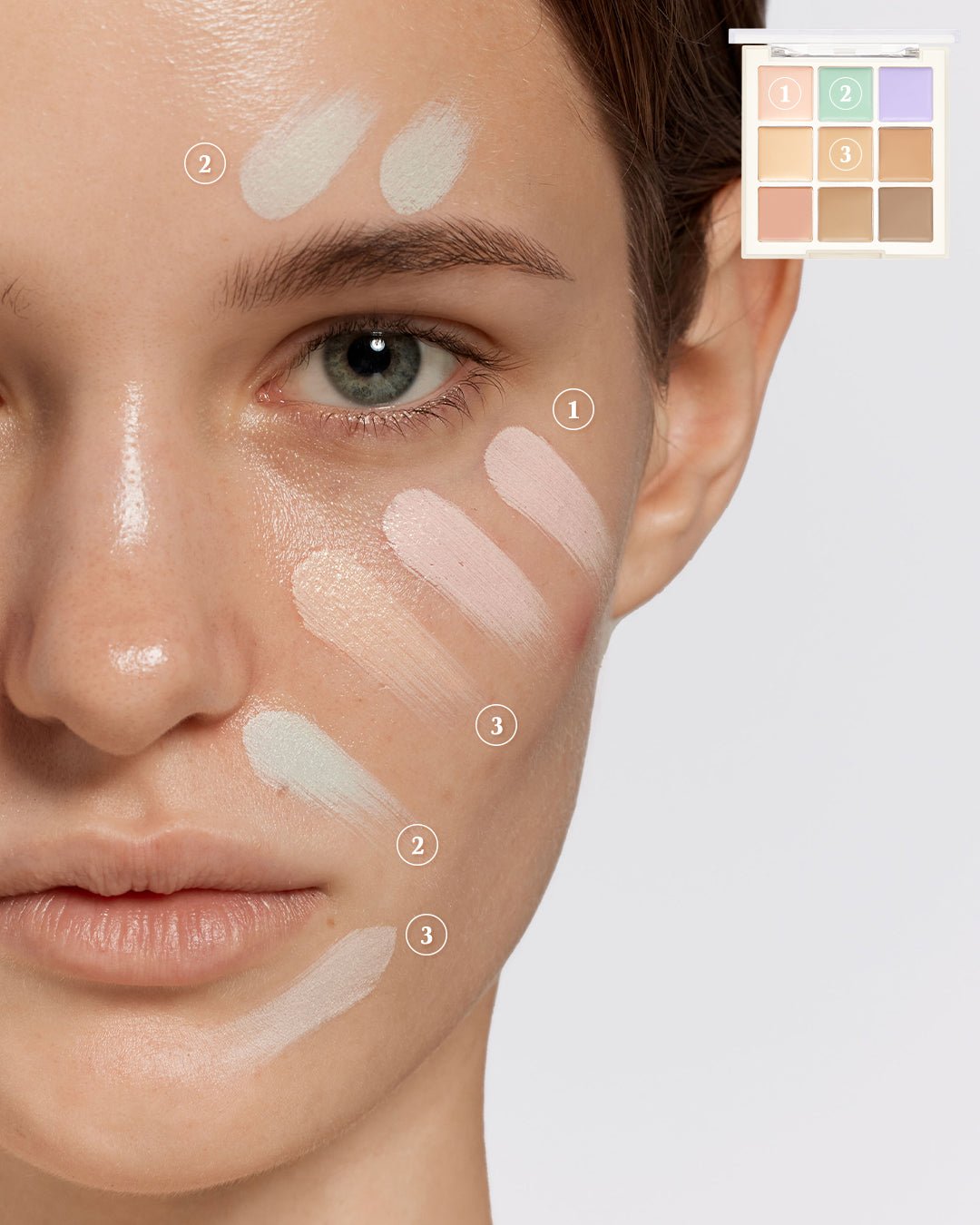Dasique Pro Concealer Palette #02 Medium Cover 2