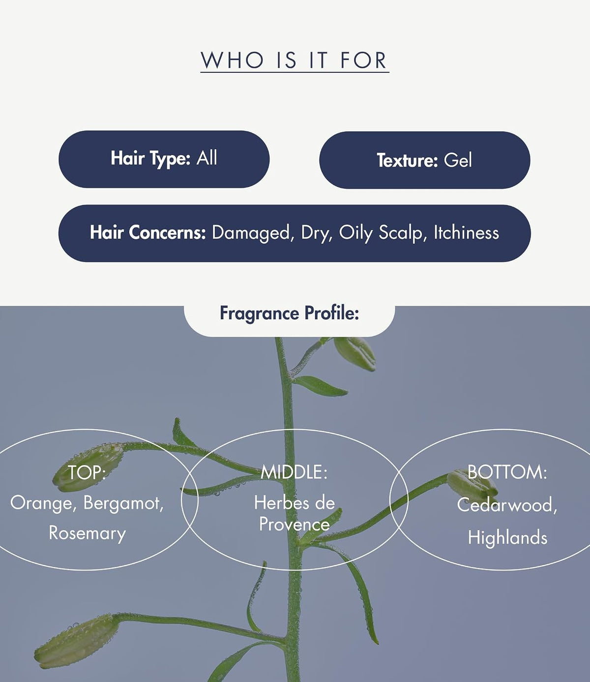 Treecell Night Collagen Shampoo Midnight Forest card: all hair types, gel texture and fragrance notes